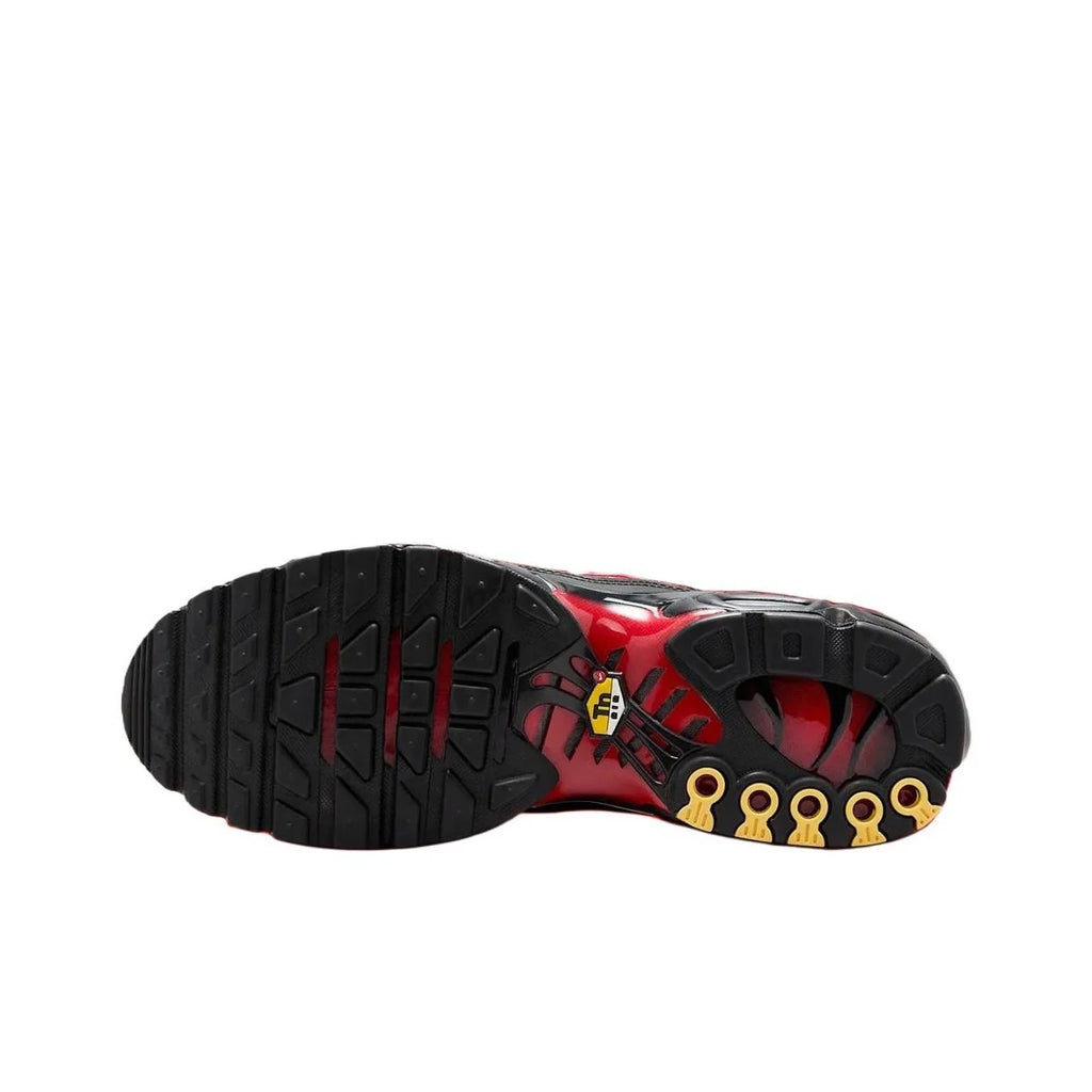 Nike Air Max Plus Chaussure Black HF4293-001