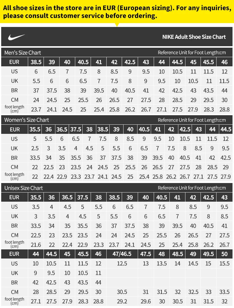 Nike Authentic P-6000 Chaussure II1203-001